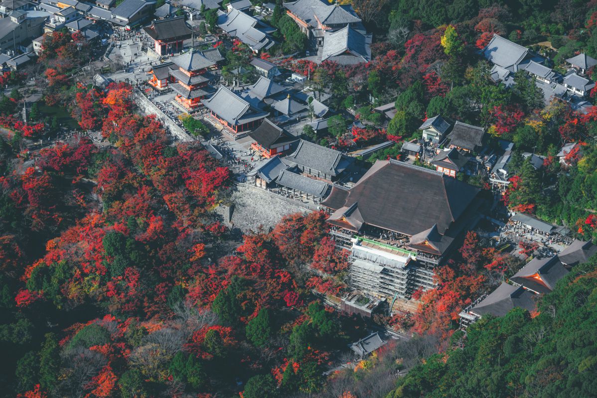 秋の紅葉を空から 京都でヘリコプター空撮をしてきました Photograpark